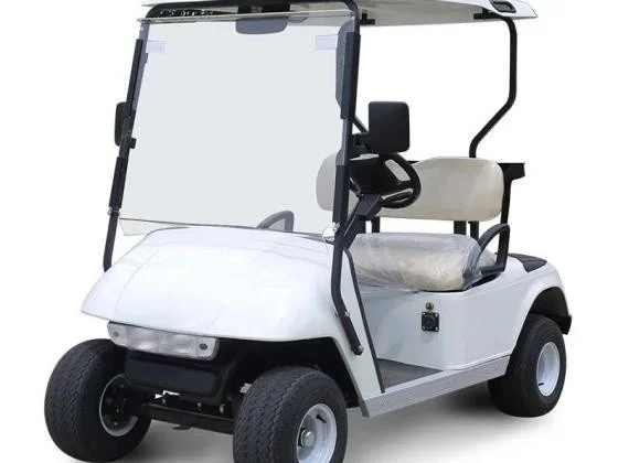 2-Sitzer-Golfwagen GM-2R