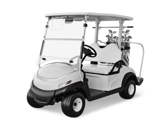 Chariot de golf 2 places GM-2G