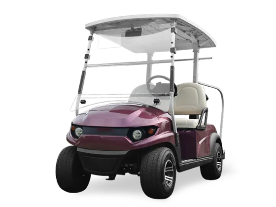 Carritos de Golf de 2 plazas en venta Dubai