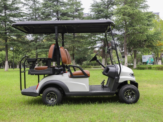 golf arabalari detaylar