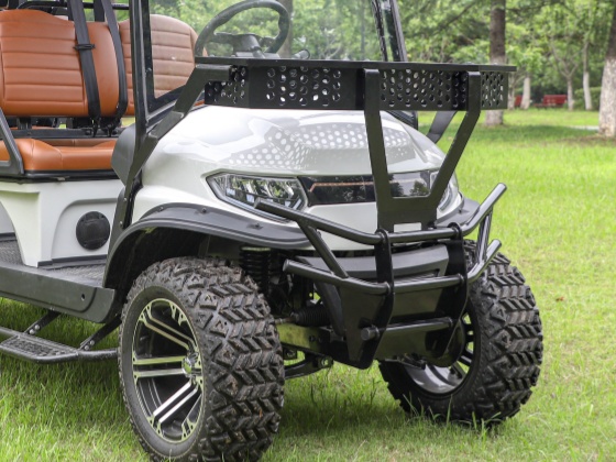 XUNHU nuevos carros de golf detalles mostrar (2)