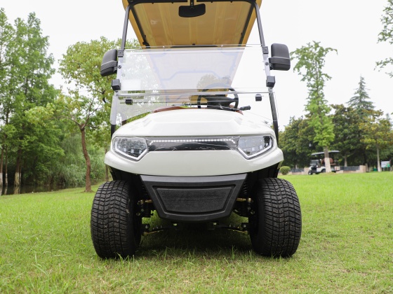 golf arabalari detaylar