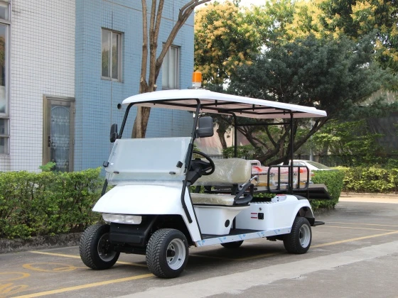 Medical Golf Carts GM-4R​