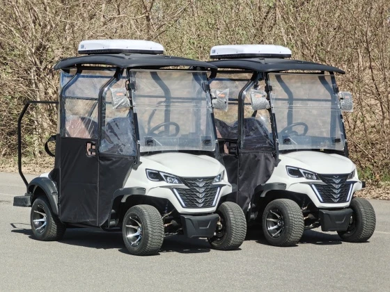 Voiturette de golf XUNHU Hunting
