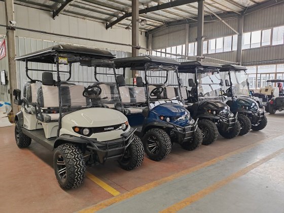 XUNHU-golf-carts-for-sale-case